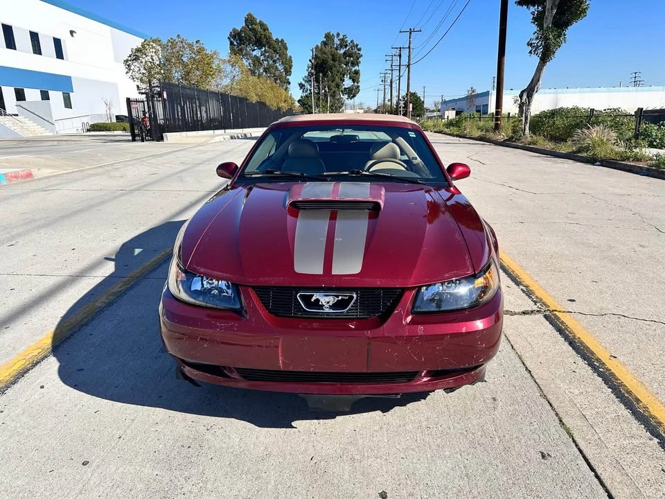 2004 Ford SN95 Mustang - Image 2 of 10
