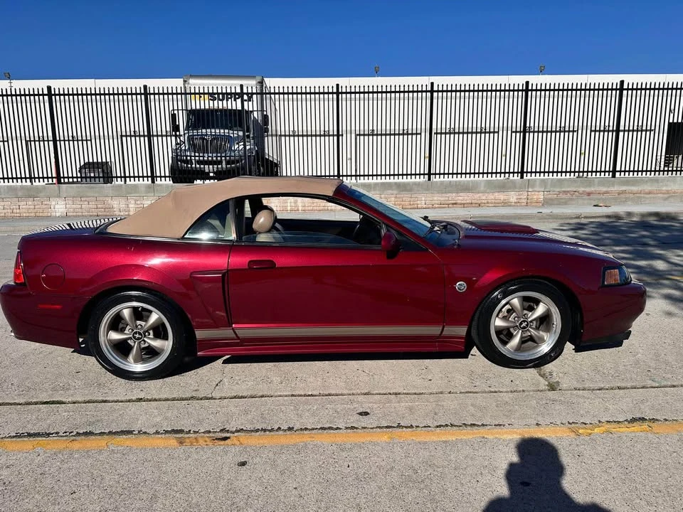 2004 Ford SN95 Mustang - Image 6 of 10