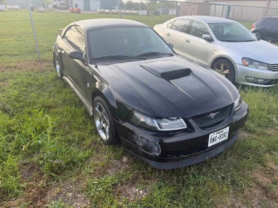 2004 Ford SN95 Mustang - Image 6 of 6