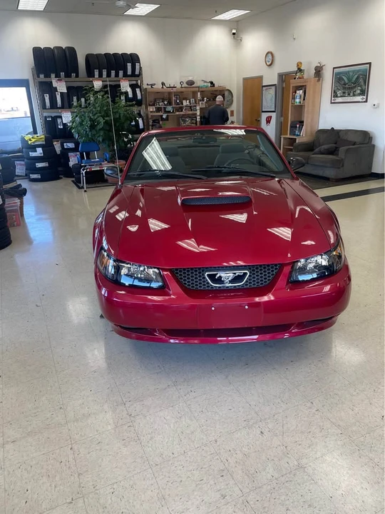 2004 Ford SN95 Mustang - Image 6 of 6