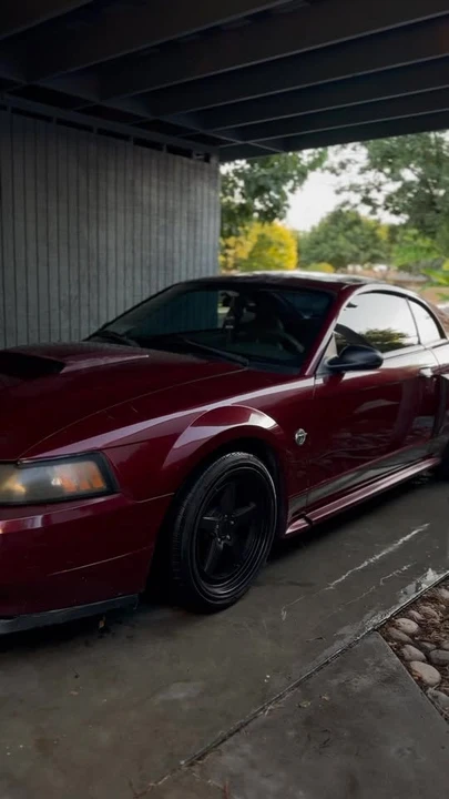 2004 Ford SN95 Mustang - Image 3 of 3