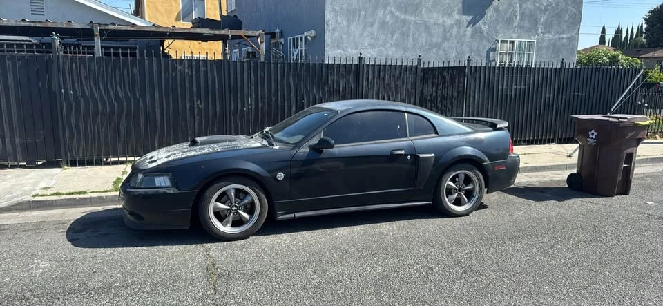 2004 Ford SN95 Mustang - Image 4 of 10