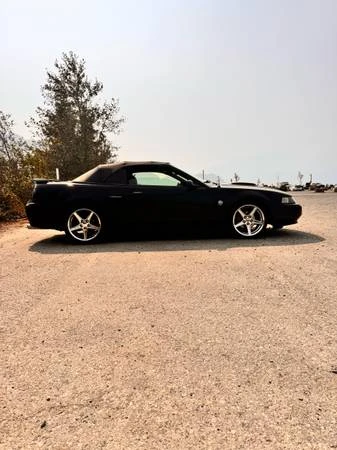 2004 Ford SN95 Mustang - Image 2 of 16