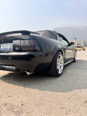 2004 Ford SN95 Mustang - Image 3 of 16