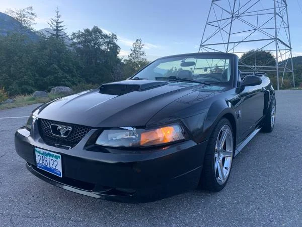 2004 Ford SN95 Mustang - Image 5 of 16