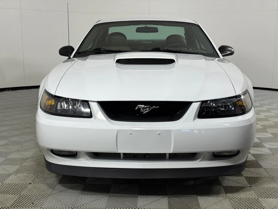 2004 Ford SN95 Mustang - Image 11 of 12