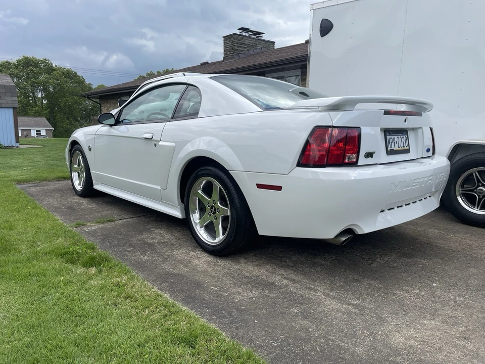 2004 Ford SN95 Mustang - Image 4 of 10