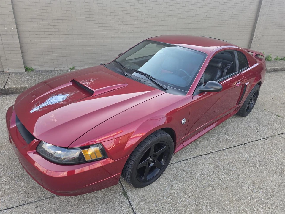 2004 Ford SN95 Mustang - Image 10 of 31