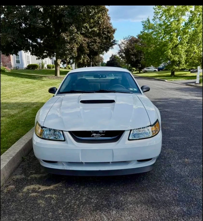 2004 Ford SN95 Mustang - Image 2 of 10