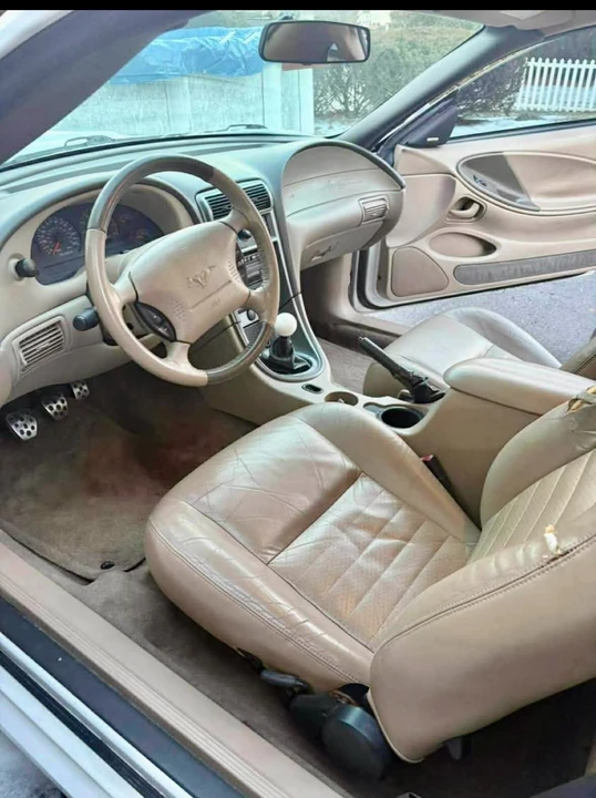 2004 Ford SN95 Mustang - Image 5 of 10