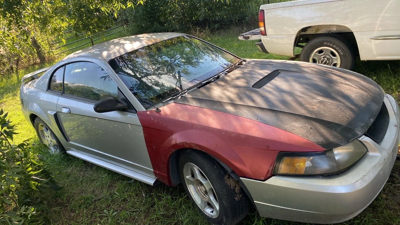 2004 Ford SN95 Mustang - Image 2 of 10