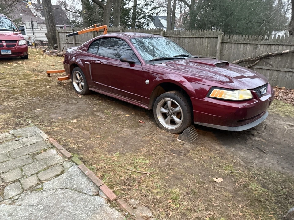 2004 Ford SN95 Mustang - Image 4 of 7