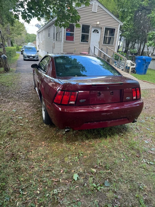 2004 Ford SN95 Mustang - Image 7 of 7