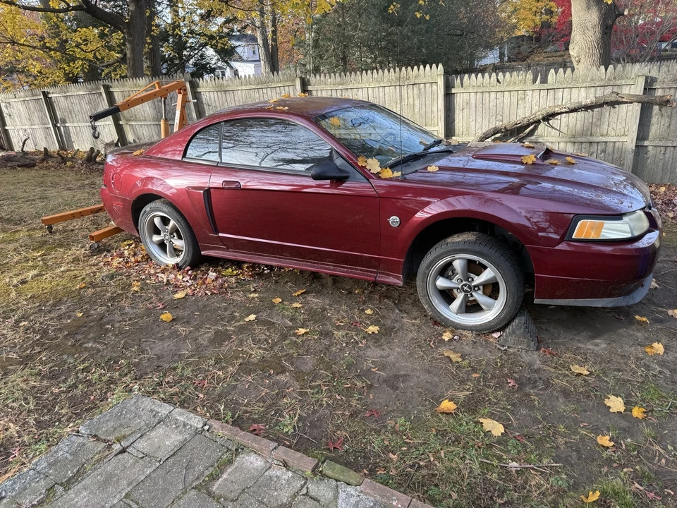 2004 Ford SN95 Mustang - Image 6 of 7