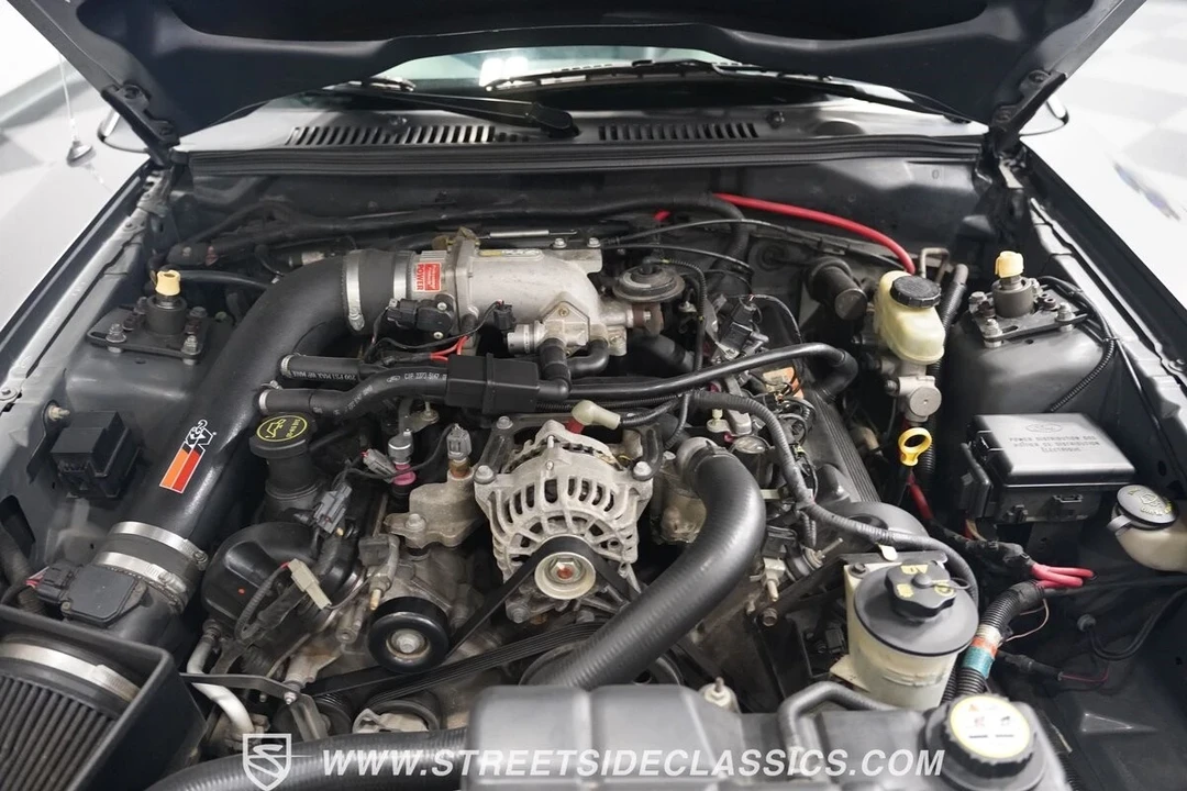 2004 Ford SN95 Mustang - Image 4 of 12