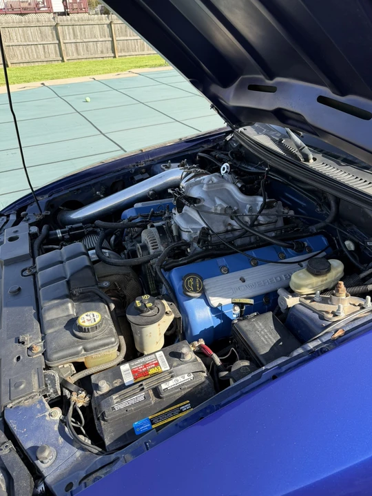 2004 Ford SN95 Mustang - Image 12 of 12