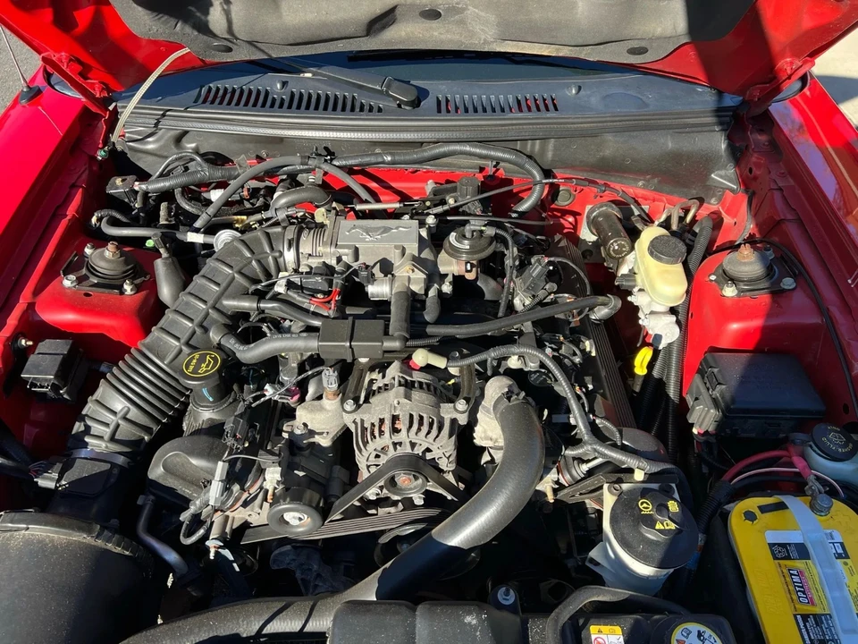 2004 Ford SN95 Mustang - Image 10 of 10