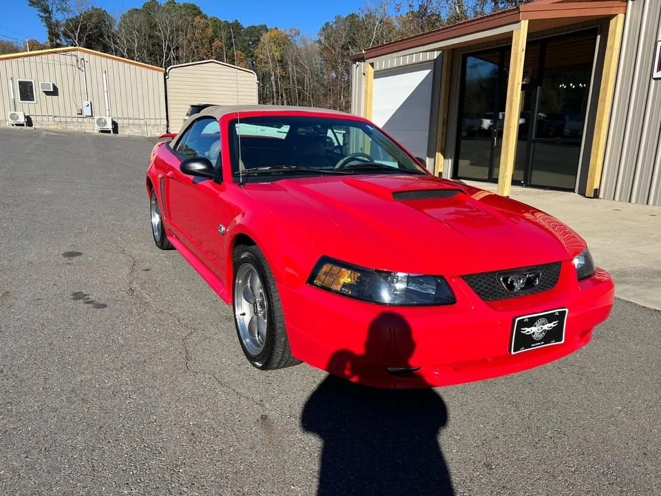 2004 Ford SN95 Mustang - Image 6 of 10