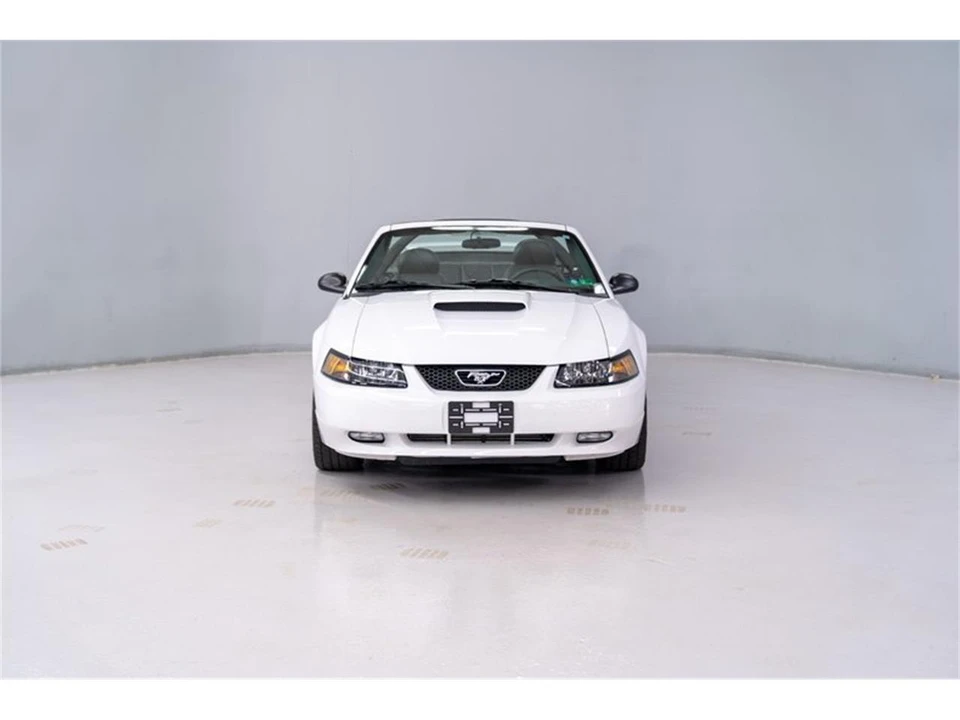 2004 Ford SN95 Mustang - Image 4 of 31