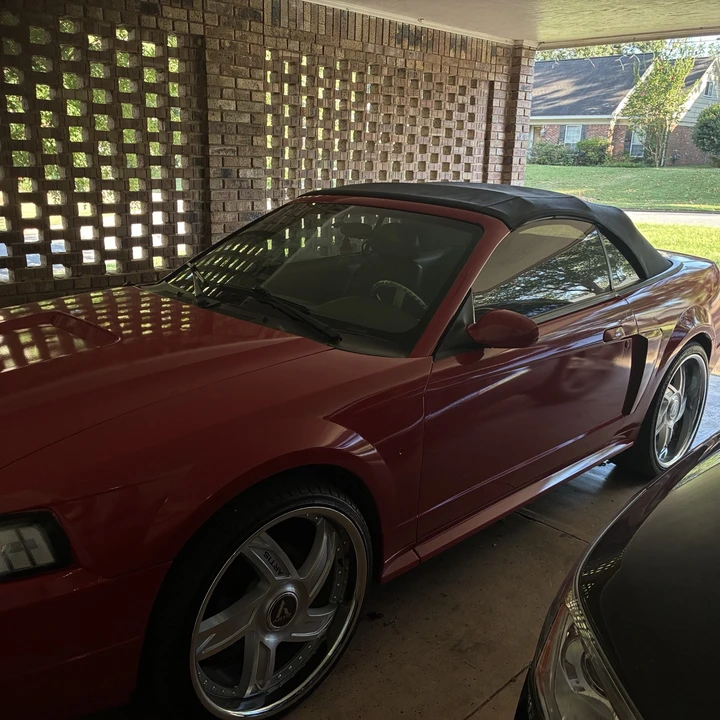 2004 Ford SN95 Mustang - Image 2 of 11
