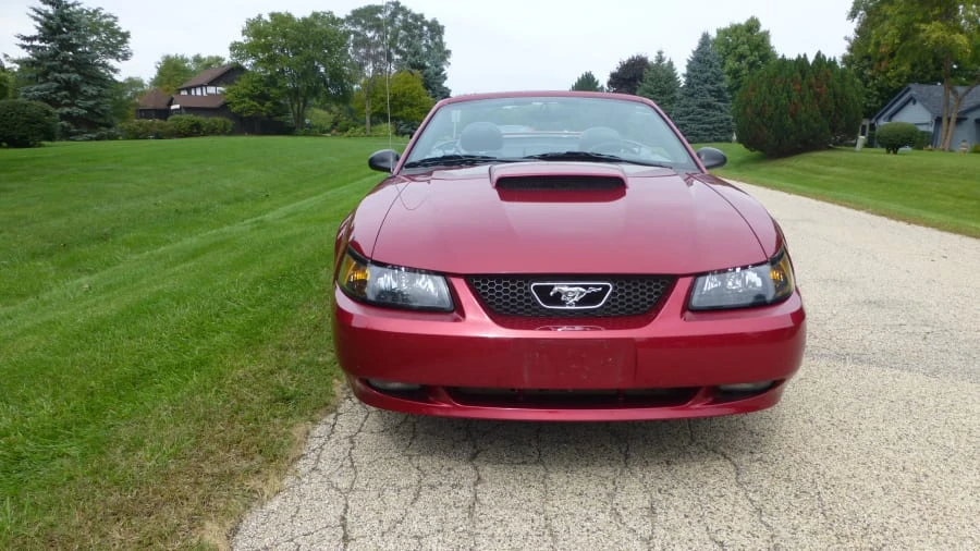 2004 Ford SN95 Mustang - Image 4 of 7