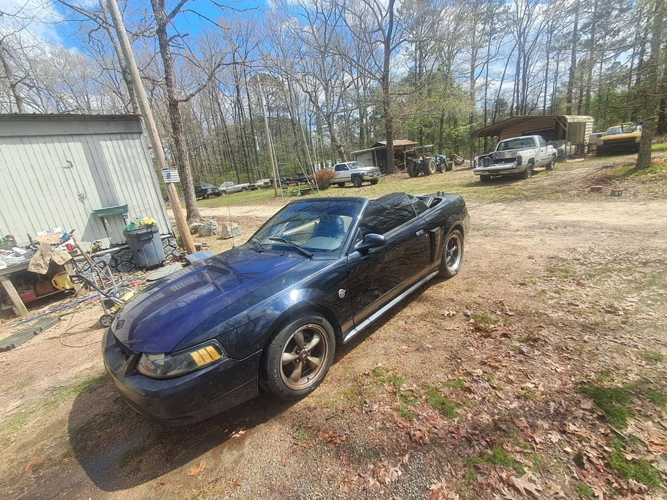2004 Ford SN95 Mustang - Image 4 of 5