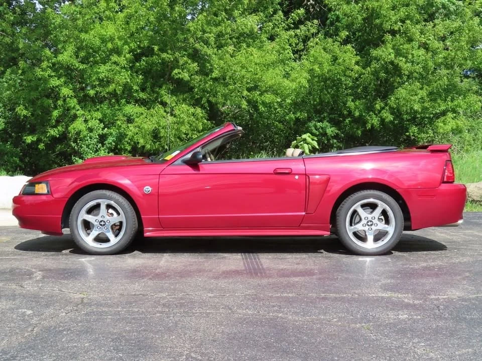 2004 Ford SN95 Mustang - Image 5 of 20