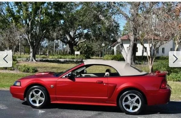 2004 Ford SN95 Mustang - Image 7 of 21