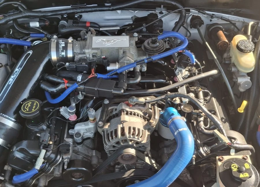 2004 Ford SN95 Mustang - Image 19 of 22