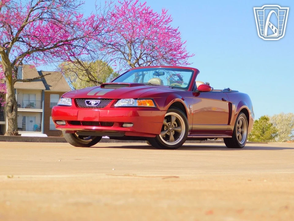 2004 Ford SN95 Mustang - Image 10 of 12