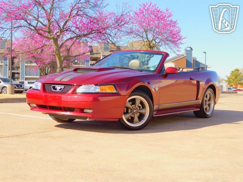 2004 Ford SN95 Mustang - Image 11 of 21