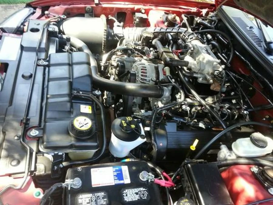 2004 Ford SN95 Mustang - Image 5 of 10
