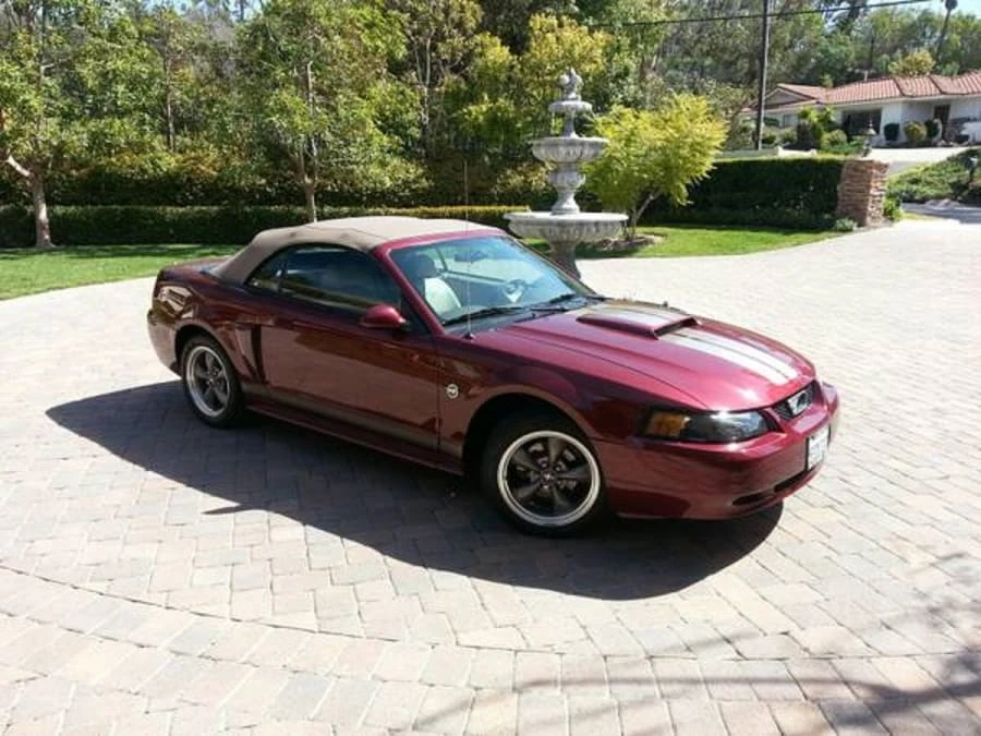 2004 Ford SN95 Mustang - Image 10 of 10
