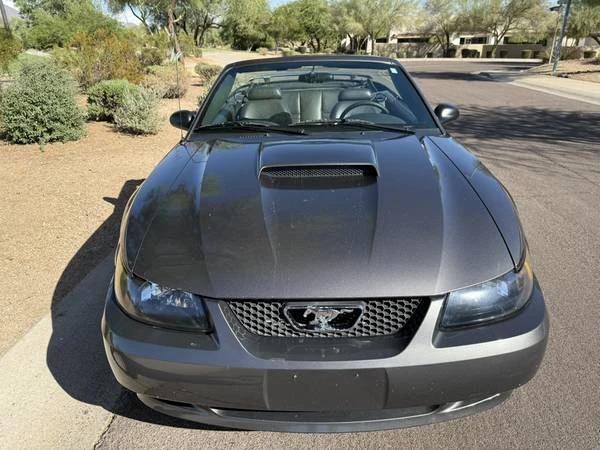 2004 Ford SN95 Mustang - Image 8 of 21