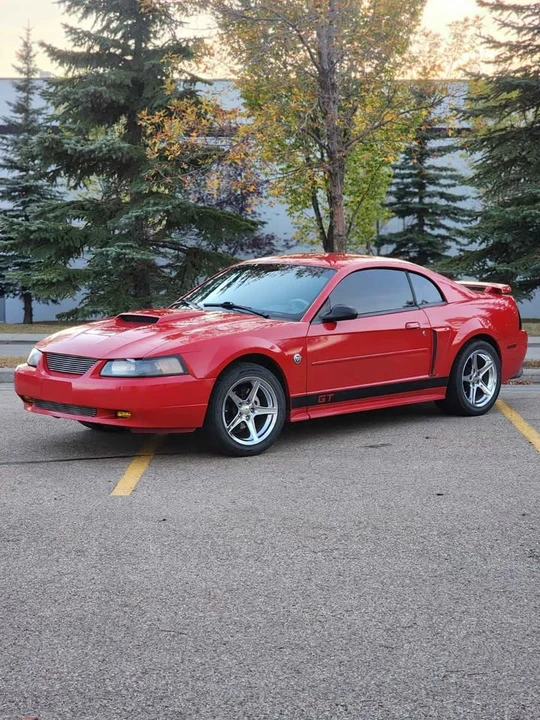2004 Ford SN95 Mustang - Image 2 of 14