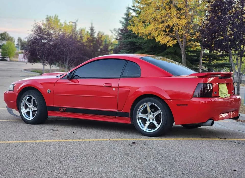 2004 Ford SN95 Mustang - Image 3 of 14