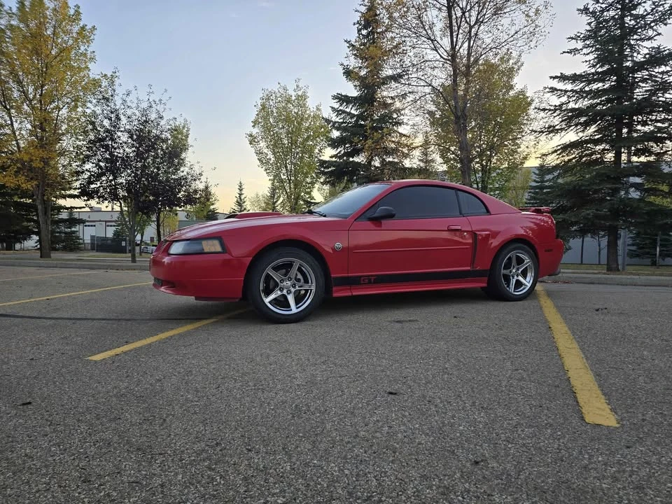 2004 Ford SN95 Mustang - Image 14 of 14