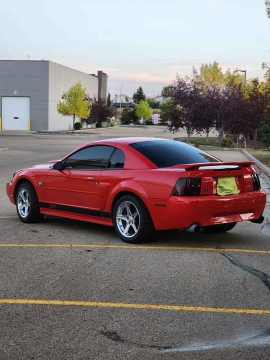 2004 Ford SN95 Mustang - Image 4 of 14