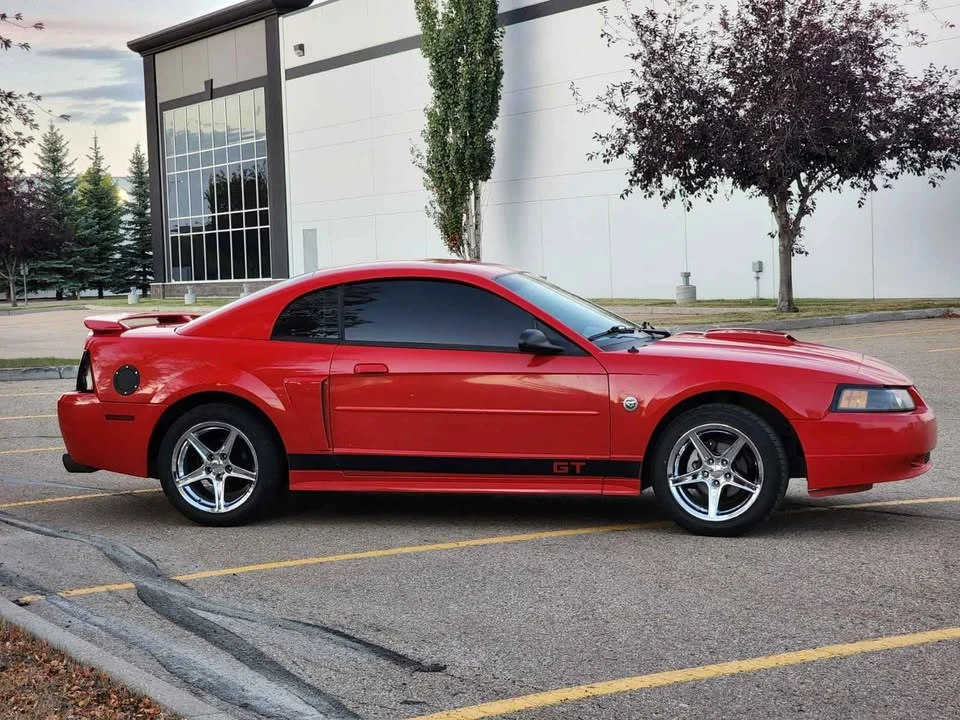 2004 Ford SN95 Mustang - Image 5 of 14