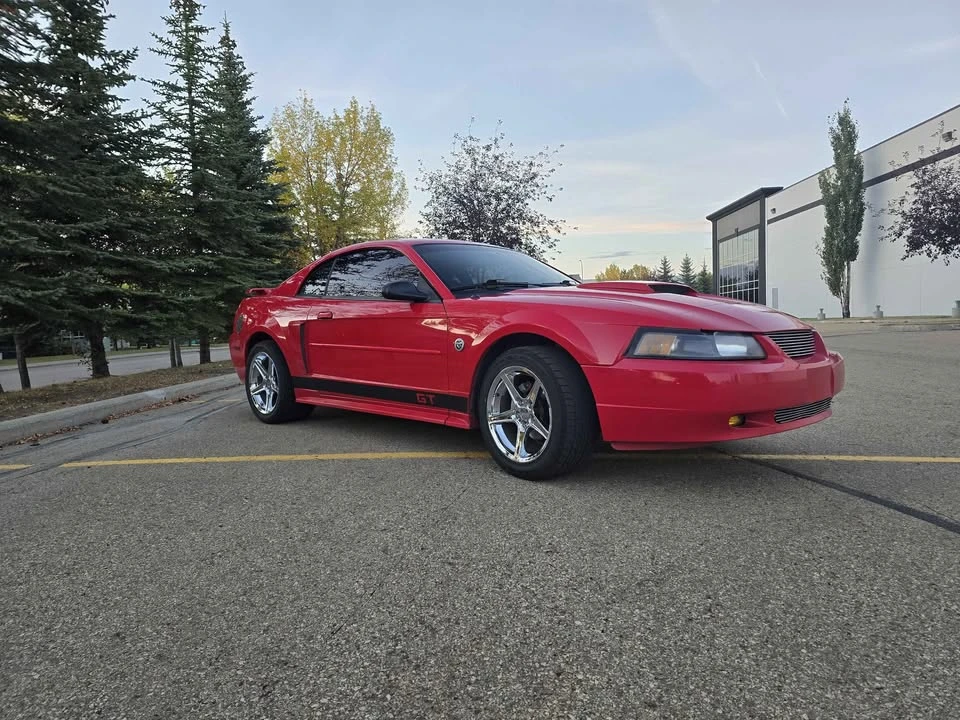 2004 Ford SN95 Mustang - Image 13 of 14