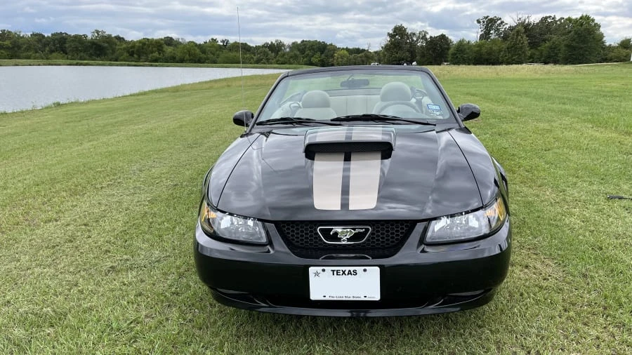 2004 Ford SN95 Mustang - Image 4 of 10