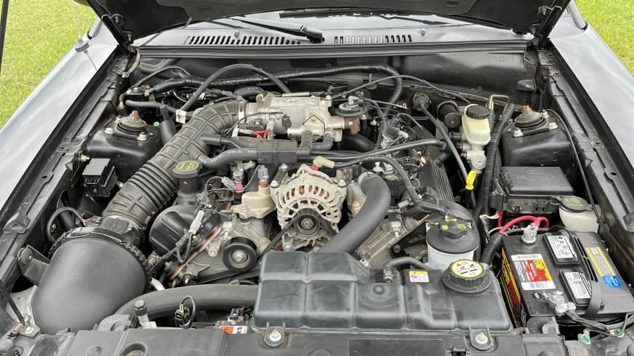 2004 Ford SN95 Mustang - Image 5 of 10