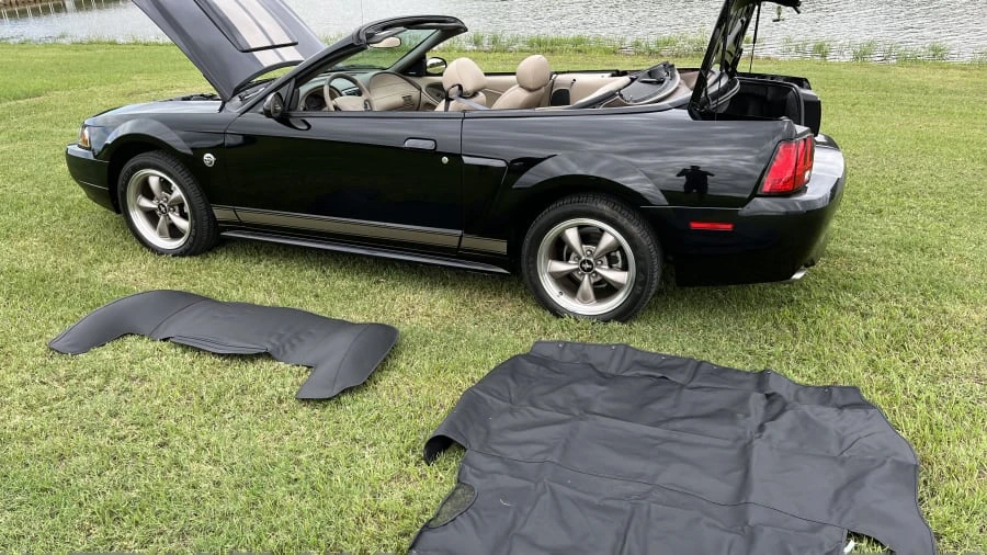 2004 Ford SN95 Mustang - Image 6 of 10