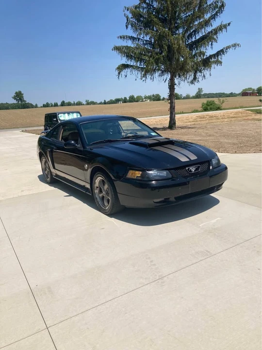 2004 Ford SN95 Mustang - Image 3 of 18