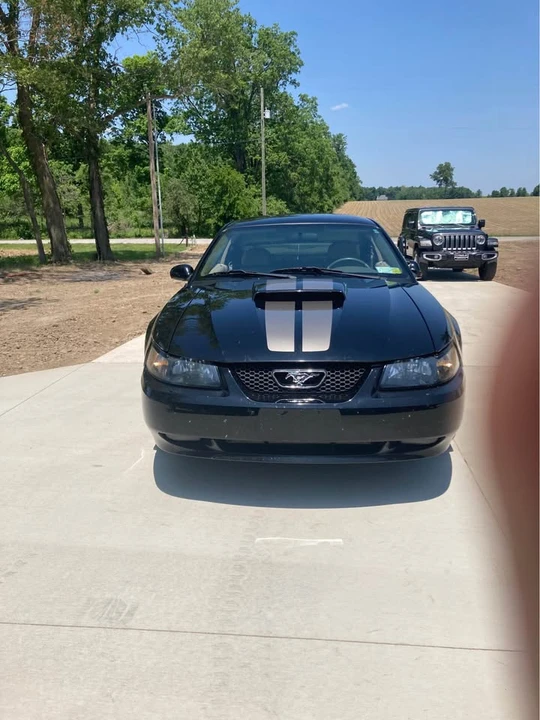 2004 Ford SN95 Mustang - Image 2 of 18