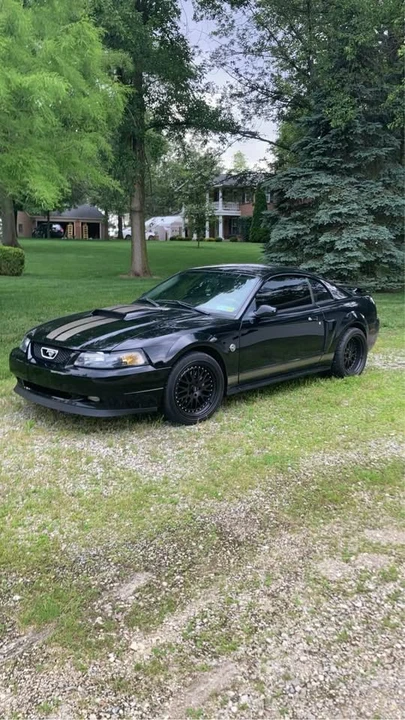 2004 Ford SN95 Mustang - Image 12 of 18