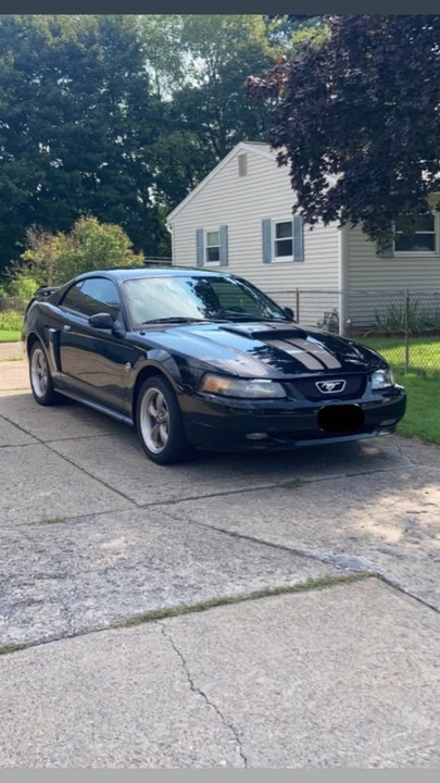 2004 Ford SN95 Mustang - Image 11 of 18