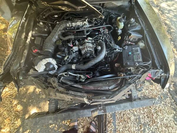 2004 Ford SN95 Mustang - Image 6 of 8