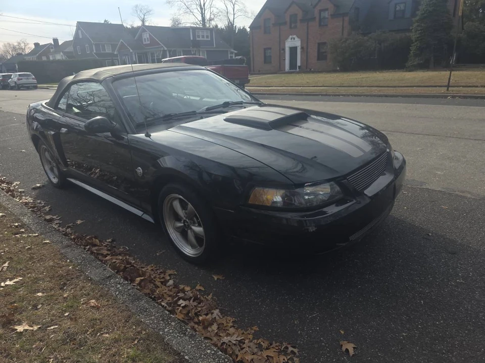 2004 Ford SN95 Mustang - Image 2 of 15
