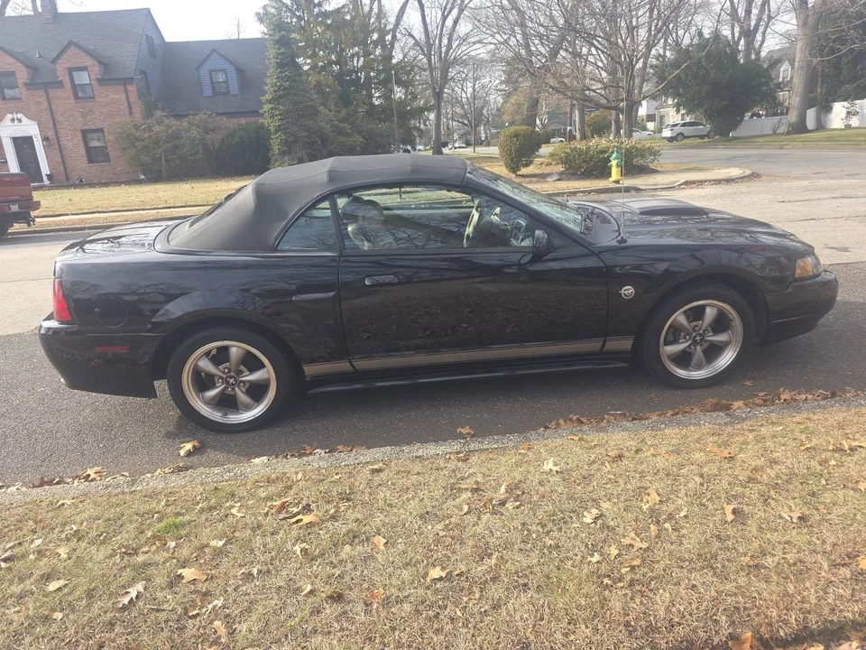 2004 Ford SN95 Mustang - Image 6 of 15